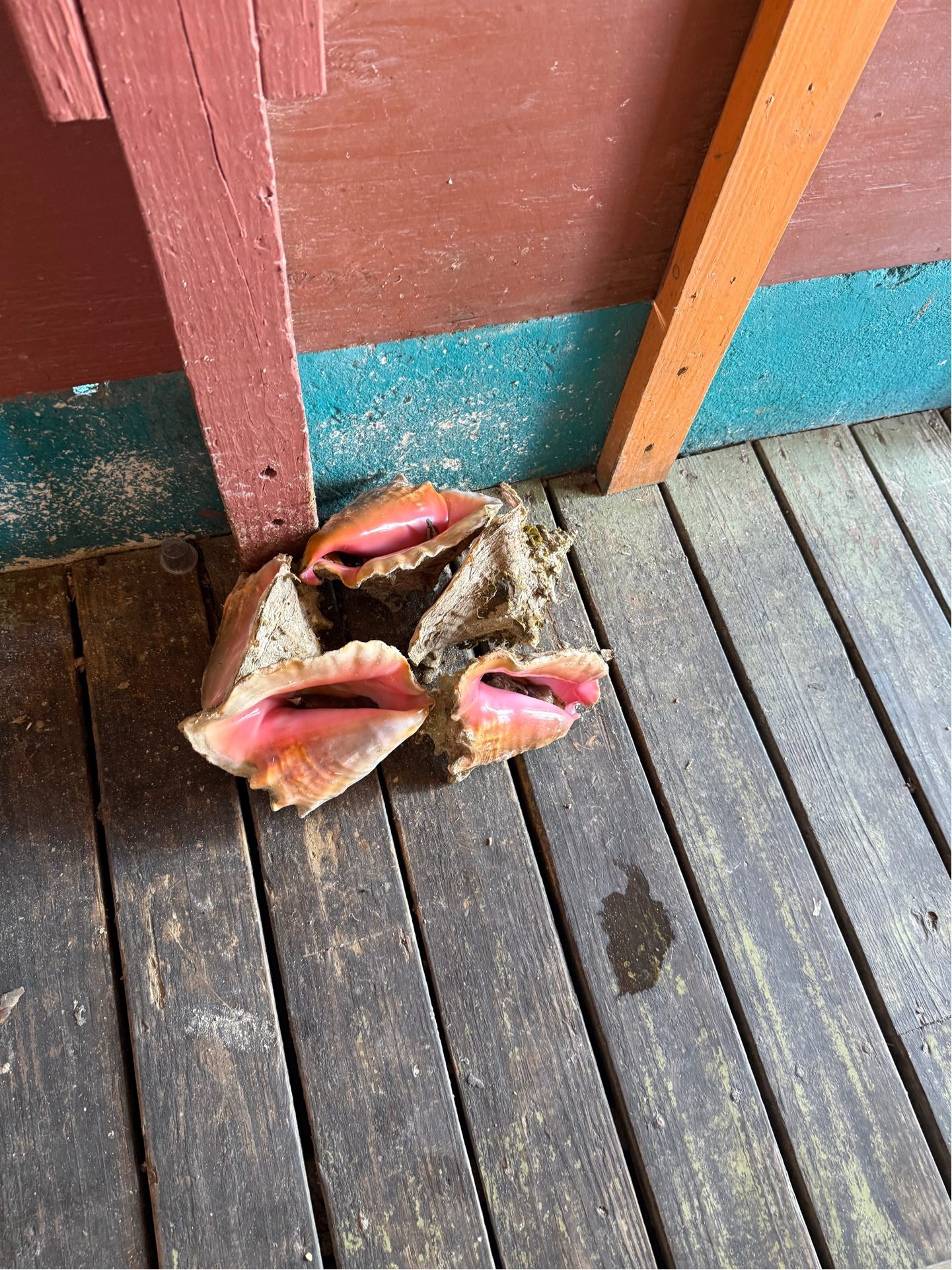Local seafood